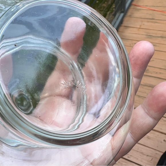 Vintage short bubble glass apothecary jar with lid - Picture 5 of 5